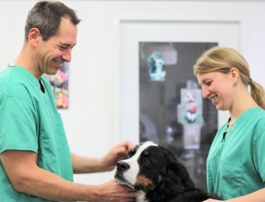 Ist Ihr Hund verletzt? Oder krank? Oder benötigt er eine Impfung? Tierarzt Dr. med. vet. Marc-Florian Wendler kümmert sich in seiner Tierarztpraxis in Zürich Oerlikon liebevoll und mit viel Know-How um um Ihren Hund. Tel. 044 371 14 11