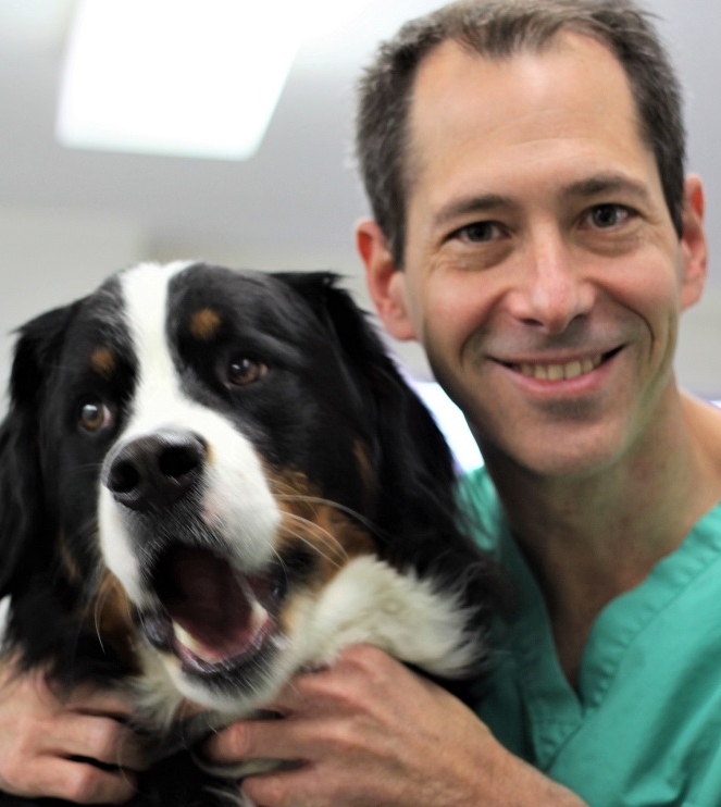 Suchen Sie für Ihr Haustier einen Tierarzt? Tierarzt Dr. med. vet. Marc-Florian Wendler kümmert sich in seiner Tierarztpraxis in Zürich Oerlikon liebevoll und mit viel Know-How um Ihr Haustier. Tel. 044 371 14 11