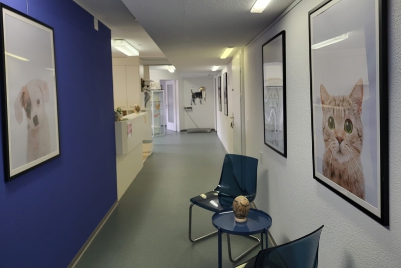 Tierarztpraxis Zürich - Spezialist für Hunde und Katzen: Dr. med. vet. Marc-Florian Wendler Telefon 044 371 14 11