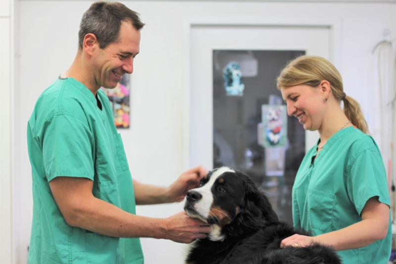Tierarztpraxis - Spezialist für Hunde und Katzen: Dr. med. vet. Marc-Florian Wendler - Kleintierarzt Zürich Oerlikon - Telefon 044 371 14 11