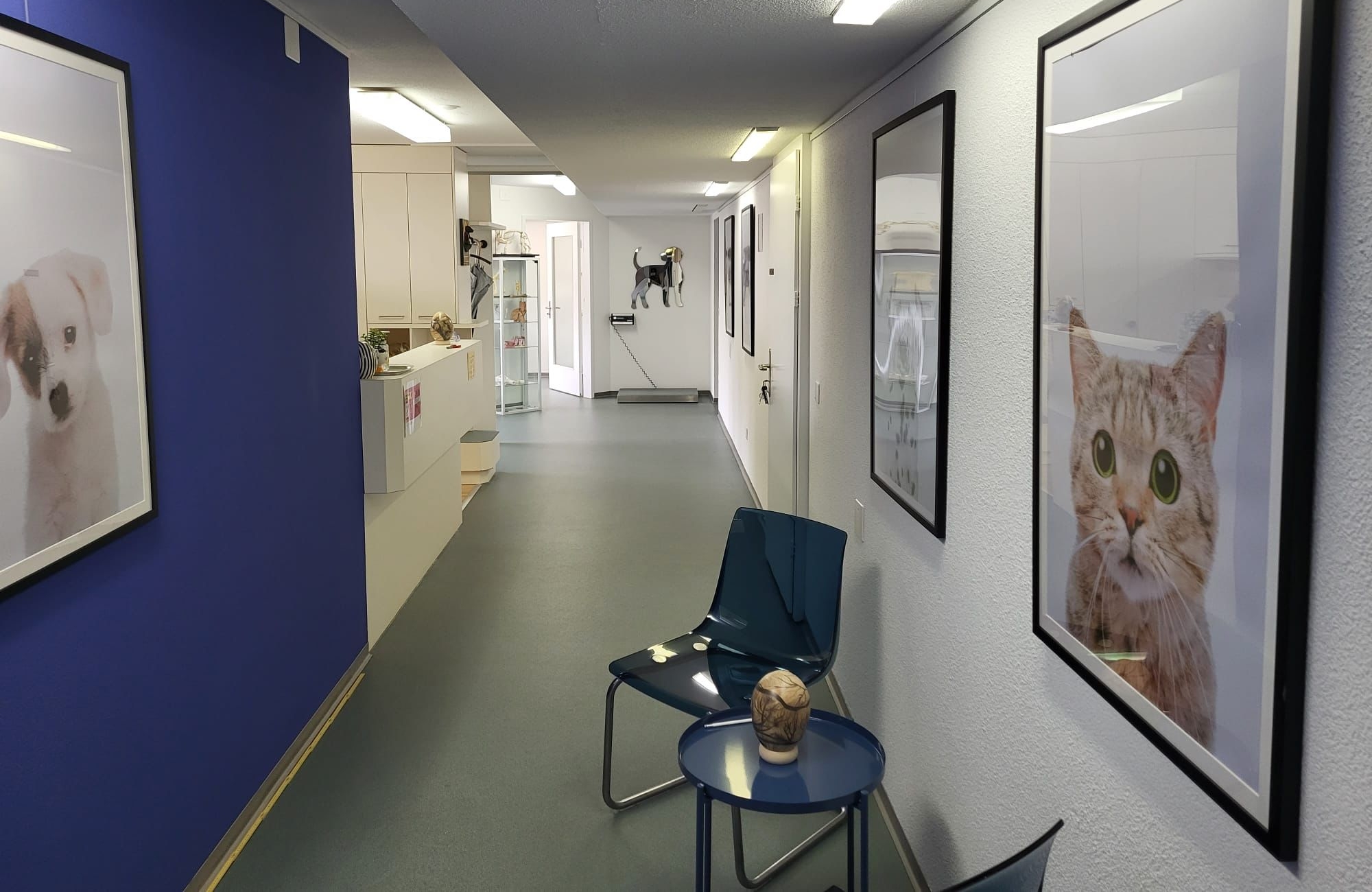 Ihre Tierarztpraxis in Zürich / Oerlikon. Dr. med. vet. Marc-Florian Wendler, spezialisiert auf Haustiere, insb. Hunde und Katzen