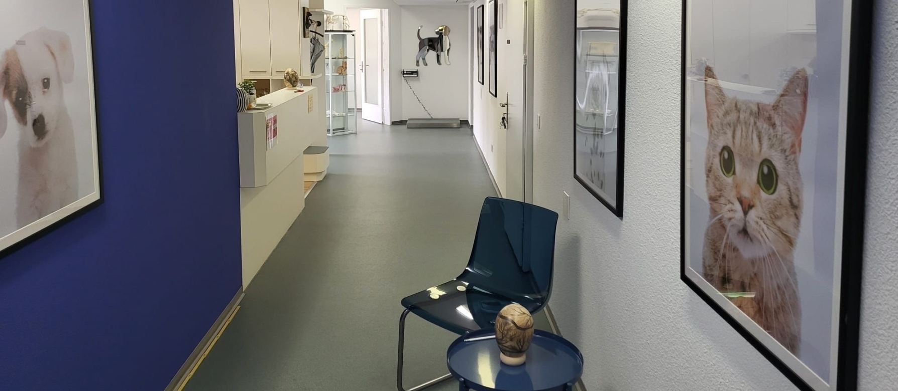 Ihre Tierarztpraxis in Zürich / Oerlikon. Dr. med. vet. Marc-Florian Wendler, spezialisiert auf Haustiere, insb. Hunde und Katzen