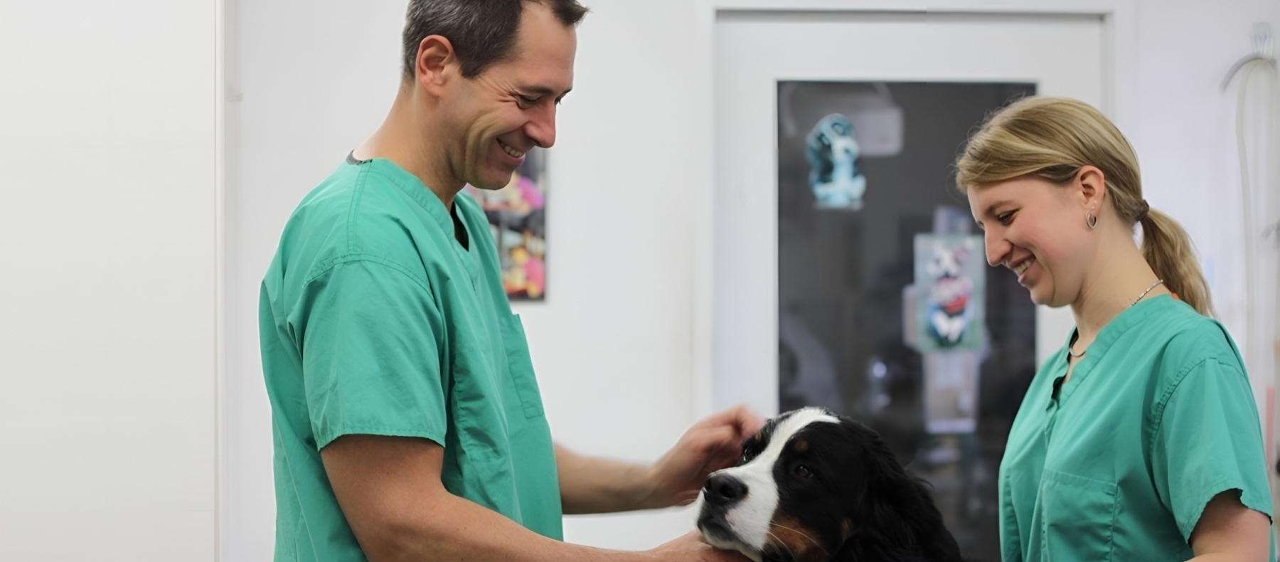 Dr. med. vet. Marc-Florian Wendler Telefon 044 371 14 11