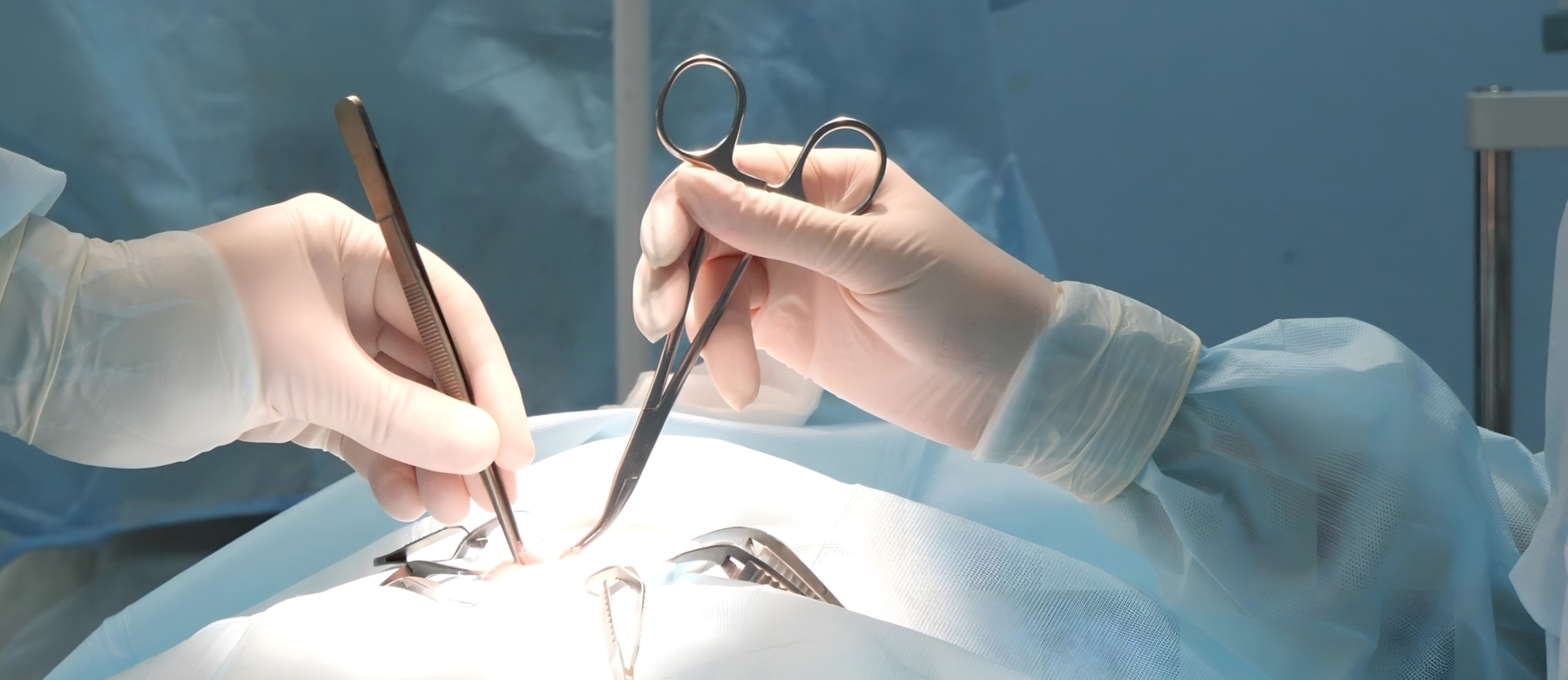 Ihr Tierarzt in Zürich- Facharzt für Kleintierchirurgie (Gelenkchirurgie, Kastrationen, Weichteilchirurgie (z.B. Blasenstein-Entfernung), Tumoroperationen, Knochenchirurgie. Hunde und Katzen. Zürich - Dr. med. vet. Marc-Florian Wendler- Telefon 044 371 14 11