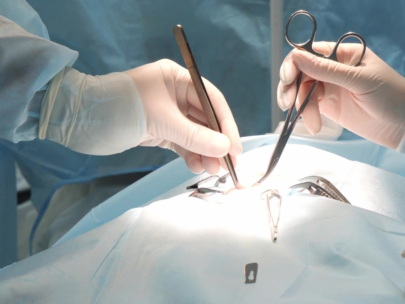 Dr. med. vet. Marc-Florian Wendler Telefon 044 371 14 11