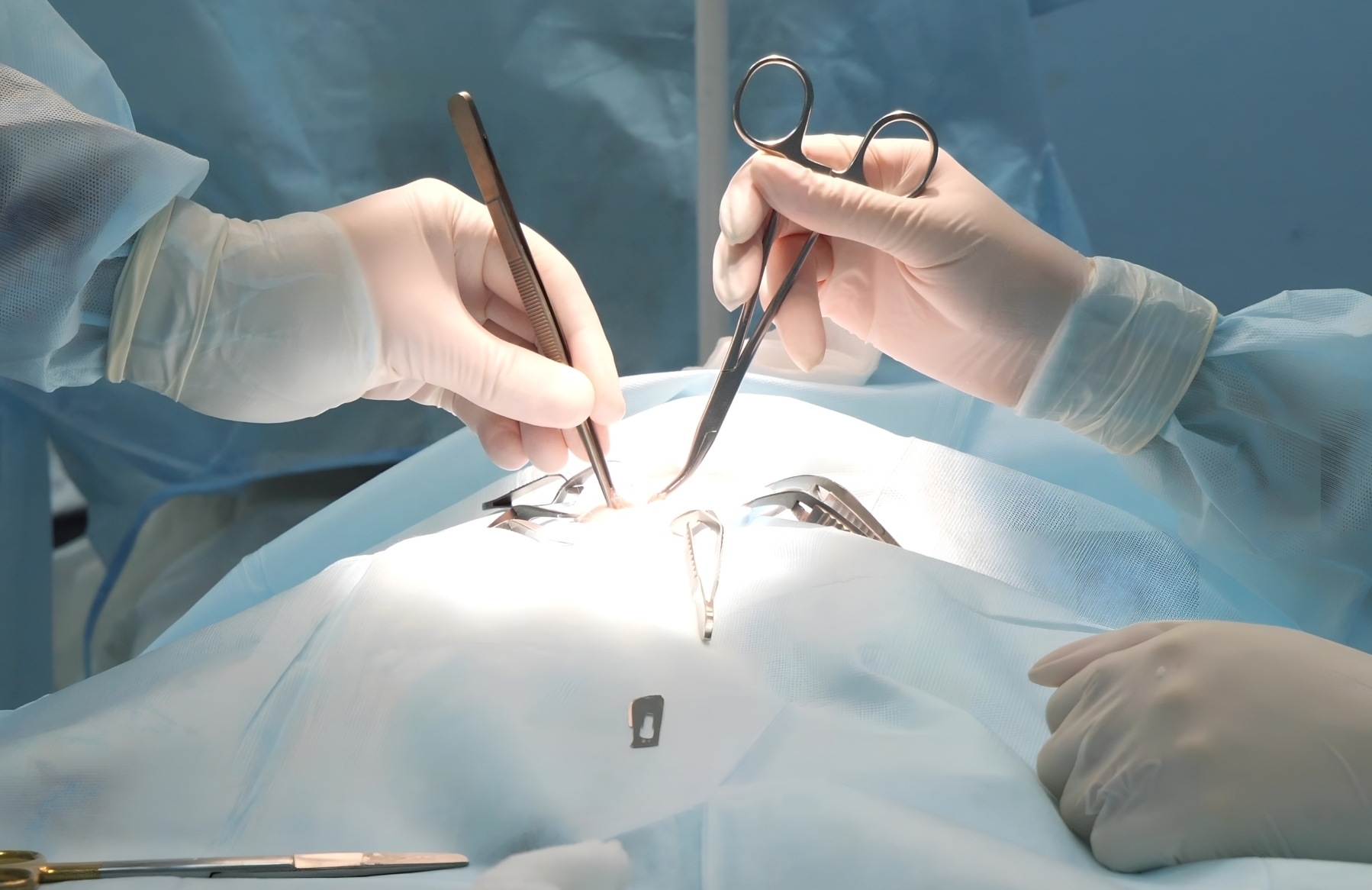 Ihr Tierarzt in Zürich- Facharzt für Kleintierchirurgie (Gelenkchirurgie, Kastrationen, Weichteilchirurgie (z.B. Blasenstein-Entfernung), Tumoroperationen, Knochenchirurgie. Hunde und Katzen. Zürich - Dr. med. vet. Marc-Florian Wendler- Telefon 044 371 14 11